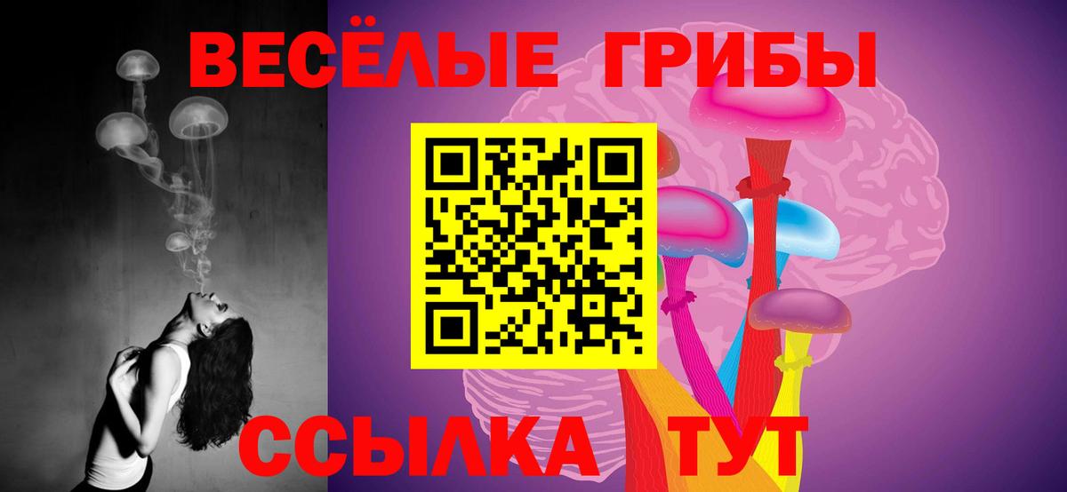 Псилоцибиновые грибы мицелий Чебаркуль
